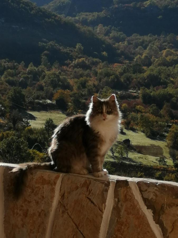 Old etno house HAPPY VILLAGE Cetinje Buitenkant foto